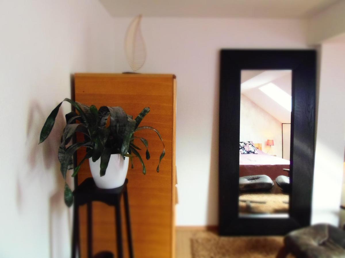 Apartman Katarina 萨格勒布 外观 照片