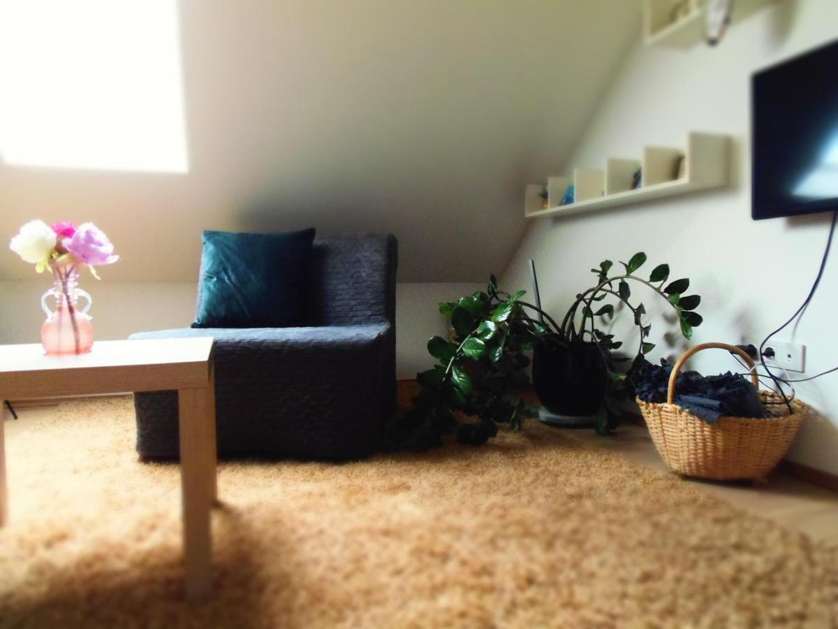 Apartman Katarina 萨格勒布 外观 照片